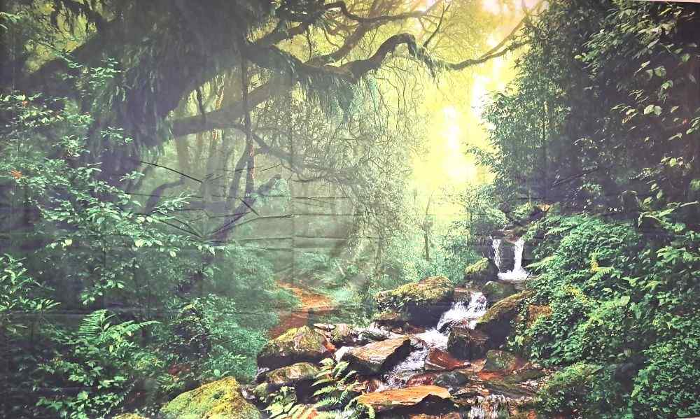 holistic zen se ressourcer au centre de la nature